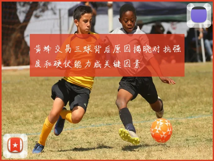 黄蜂交易三球背后原因揭晓对抗强度和硬仗能力成关键因素